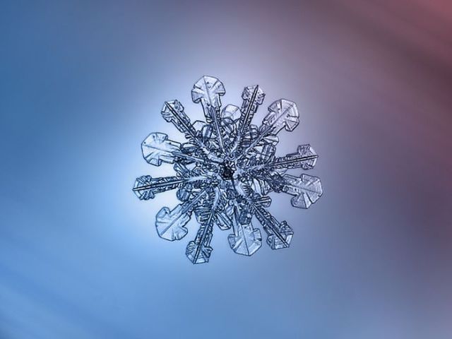 incredible_macro_photos_of_snowflakes_640_12.jpg