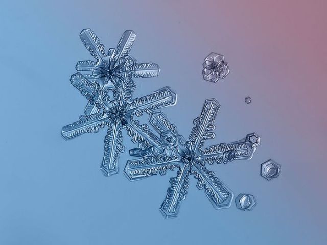 incredible_macro_photos_of_snowflakes_640_14.jpg