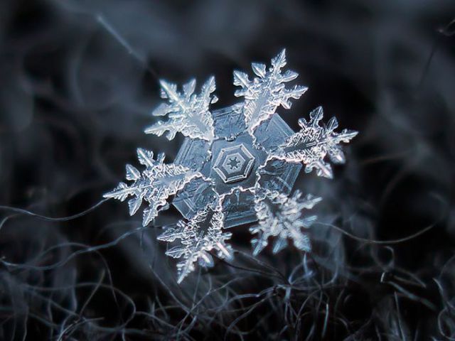 incredible_macro_photos_of_snowflakes_640_20.jpg