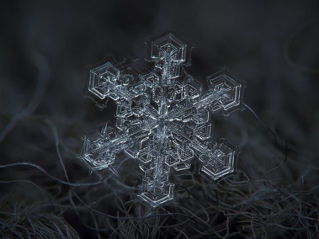 incredible_macro_photos_of_snowflakes_640_21.jpg
