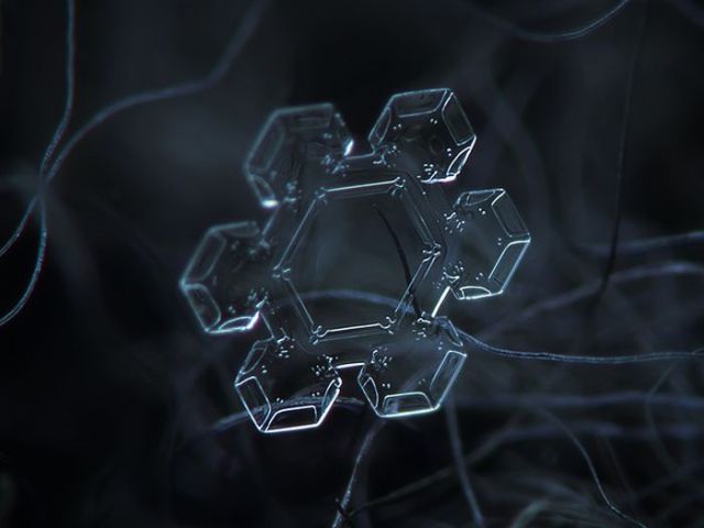 incredible_macro_photos_of_snowflakes_640_23.jpg