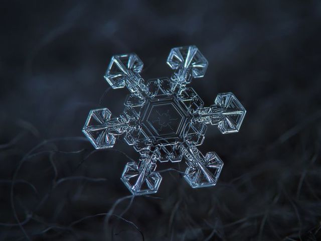 incredible_macro_photos_of_snowflakes_640_24.jpg