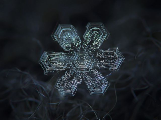 incredible_macro_photos_of_snowflakes_640_30.jpg