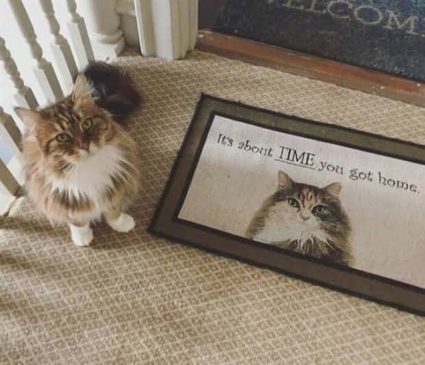 funny-doormats-1.jpg