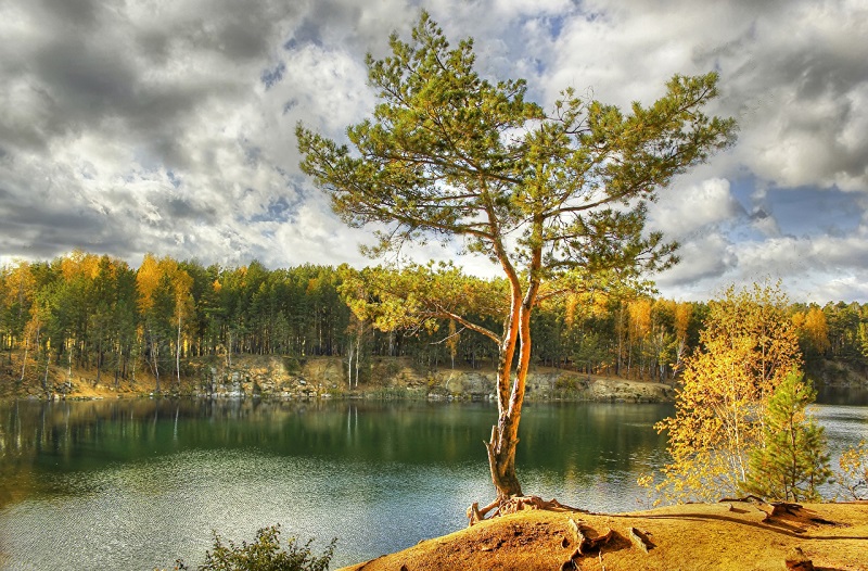 Lake_Autumn_Trees_449395fg.jpg