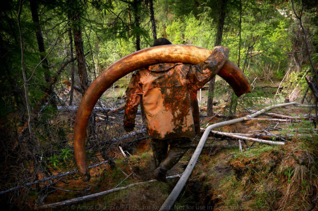 an_epic_adventure_of_illegal_search_for_mammoth_tusks_in_russia_640_01.jpg