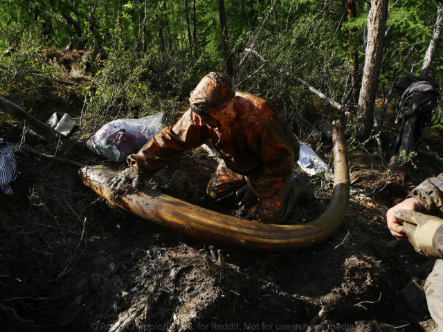 an_epic_adventure_of_illegal_search_for_mammoth_tusks_in_russia_640_10.jpg