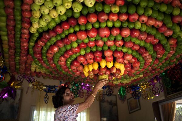 best-news-pictures-10-2011-fruit-ceiling_42809_600x450.jpg