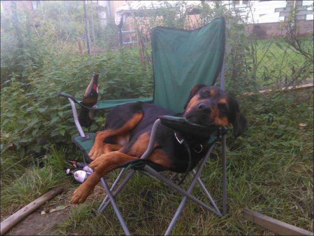 daily_picdump_2575_640_84.jpg