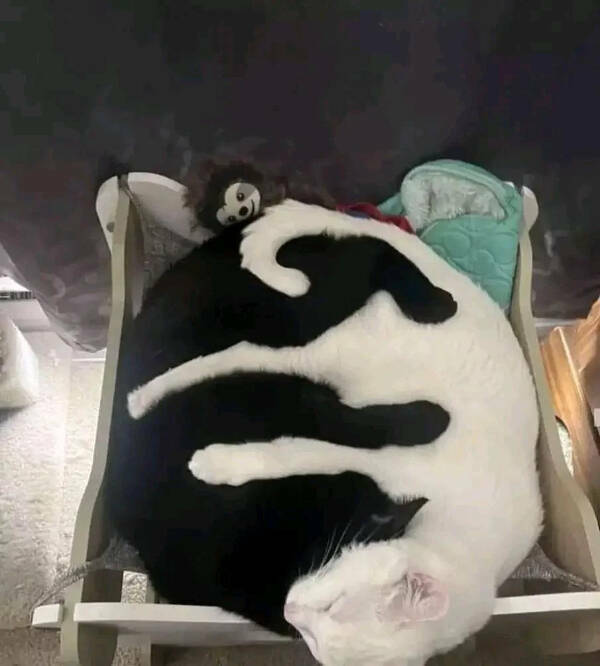 oddly_satisfying_images_that_will_soothe_your_soul_640_high_05.jpg