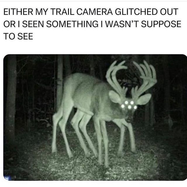 1708945486438564.jpg