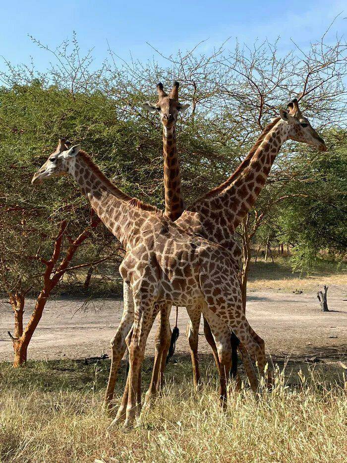 morning_picdump_4116_640_high_27.jpg