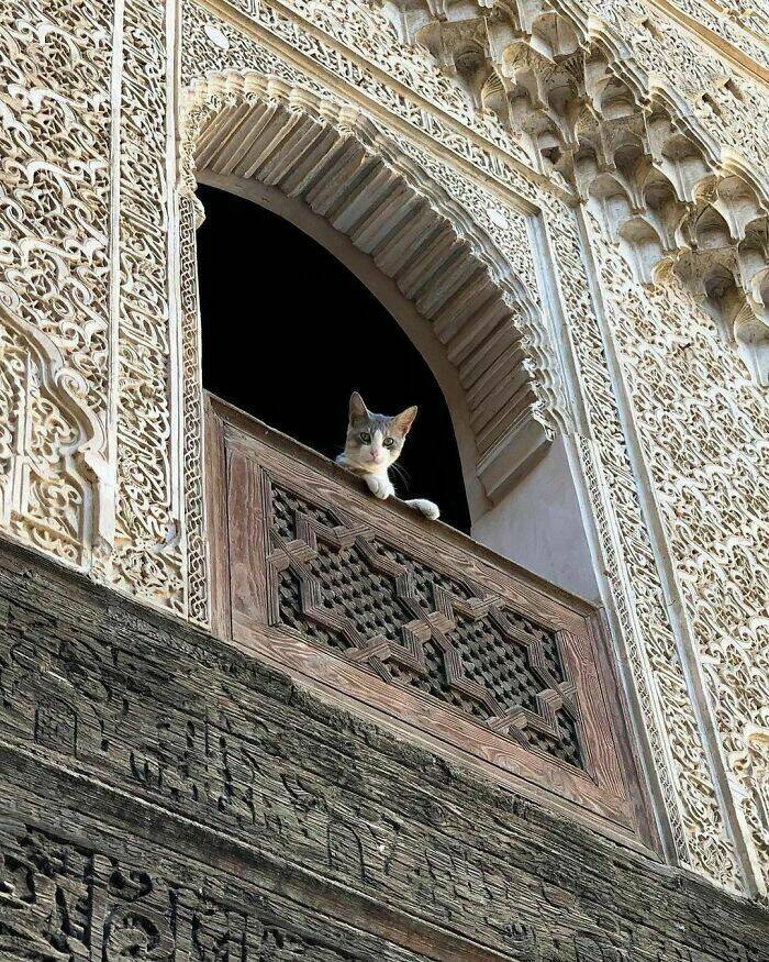when_architects_absolutely_nailed_it_640_high_13.jpg