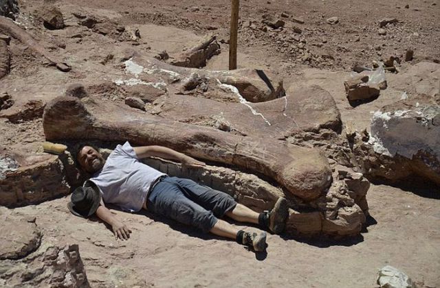 worlds_largest_dinosaur_discovered_in_argentina_640_03.jpg