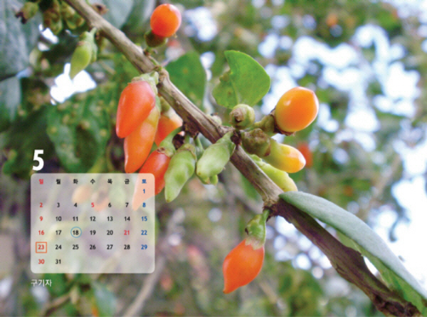 gujoron_calendar201012.jpg