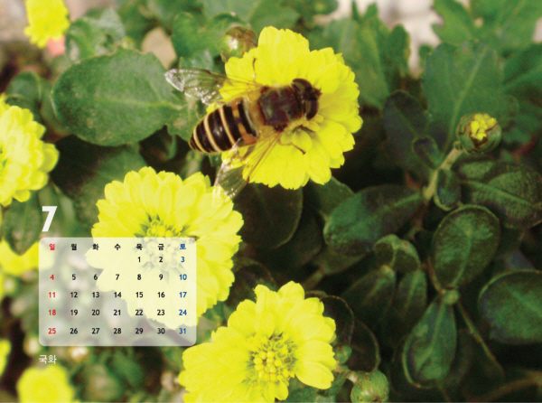 gujoron_calendar201016.jpg