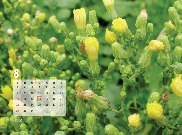 gujoron_calendar201018.jpg