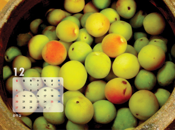 gujoron_calendar20102.jpg