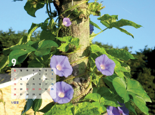 gujoron_calendar201020.jpg