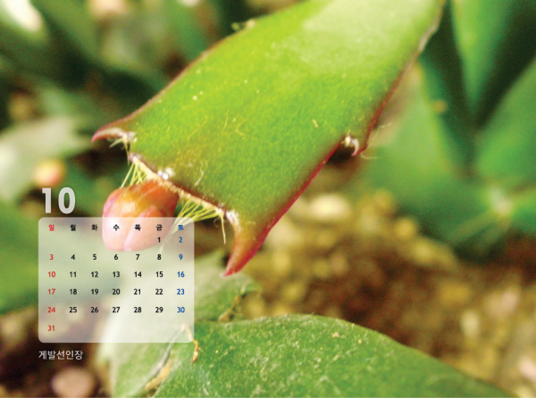 gujoron_calendar201022.jpg