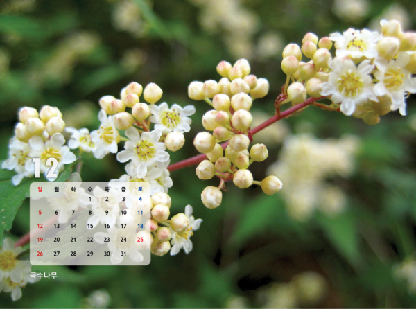 gujoron_calendar201026.jpg