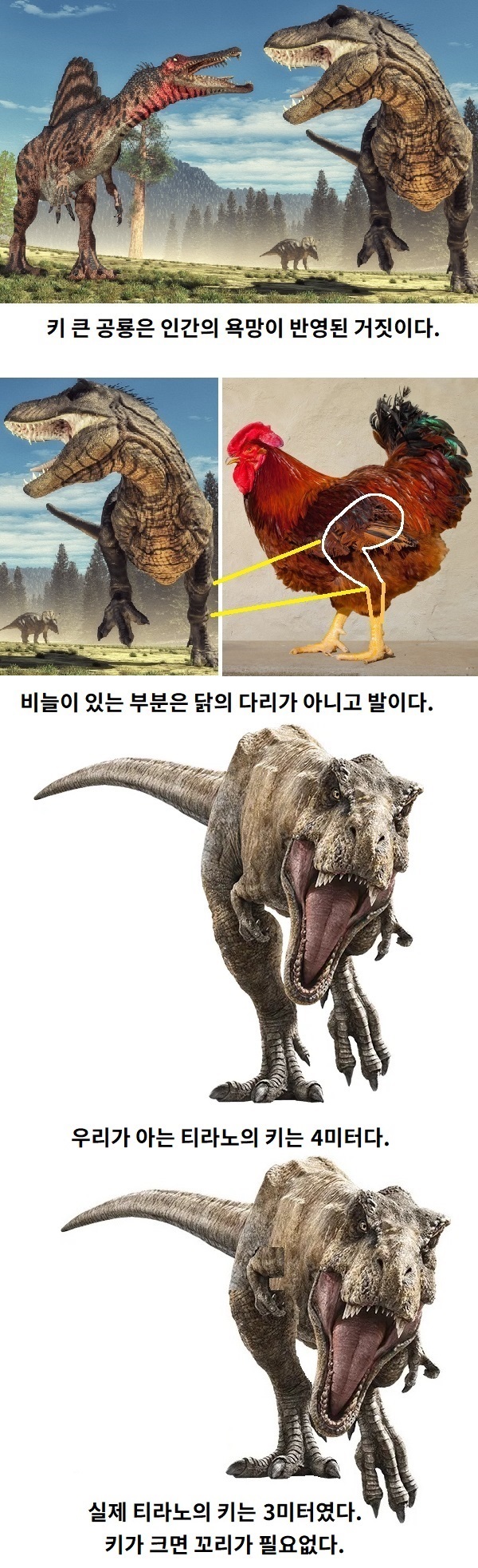 5555555555.jpg