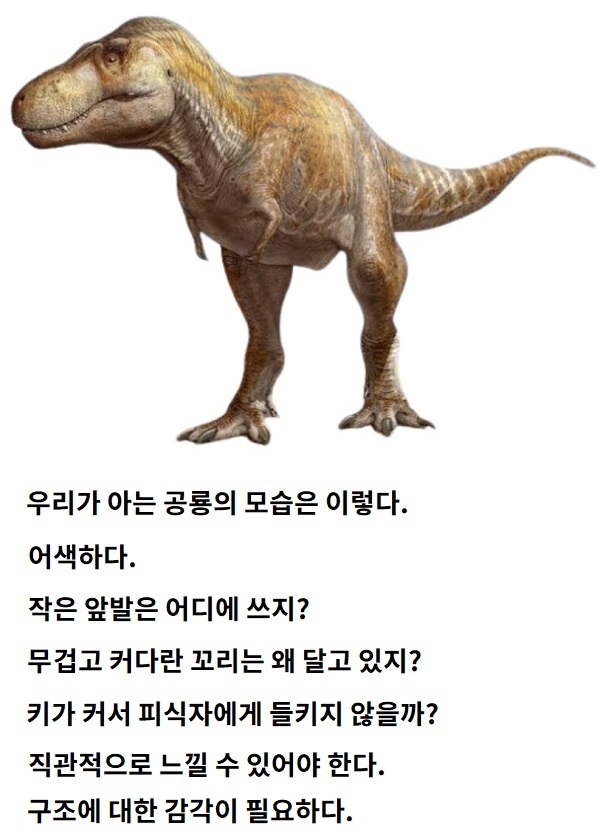 1.jpg 1.jpg