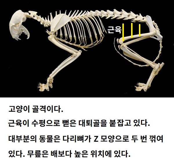 4.jpg 4.jpg