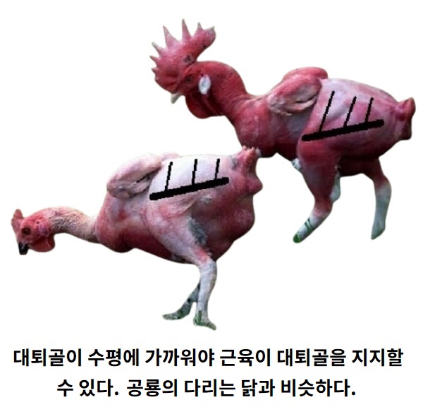 5.jpg 5.jpg