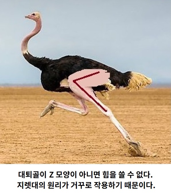 6.jpg 6.jpg