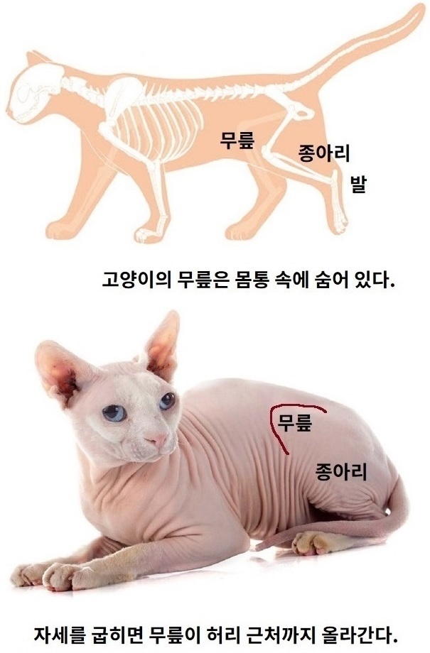 8.jpg 8.jpg
