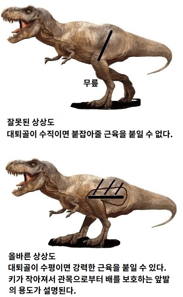 9.jpg 9.jpg