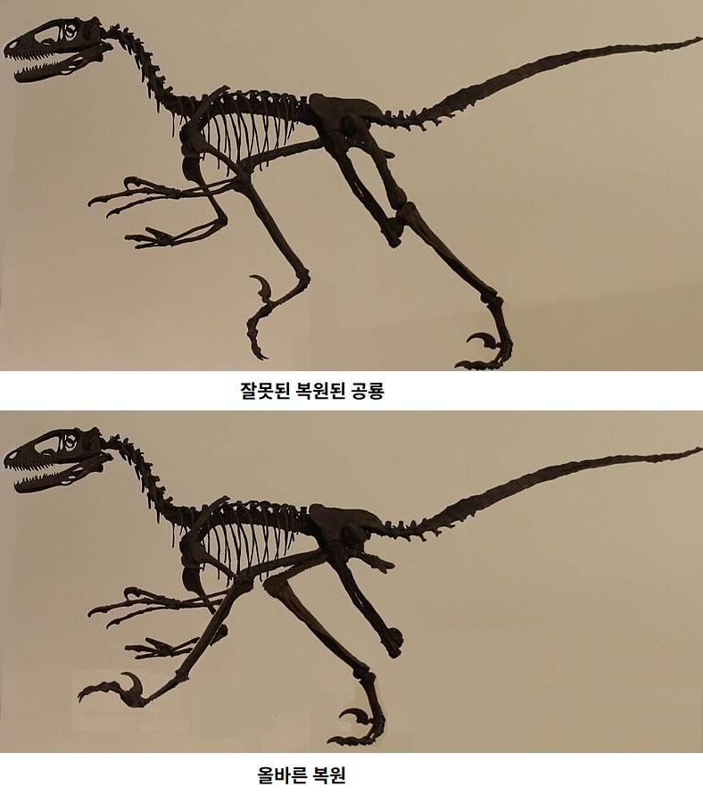 5555555555.jpg