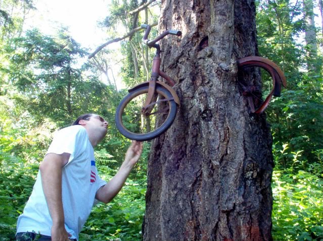 tree-eat-bike.jpg